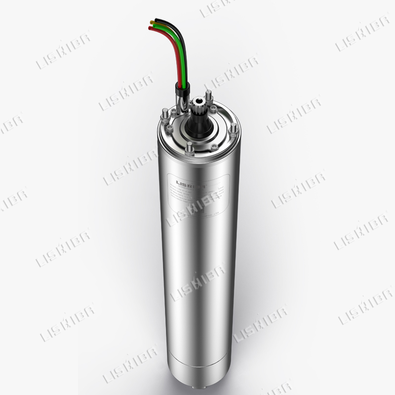力士霸泵業(yè)詳解什么是潛水電機？(圖1)